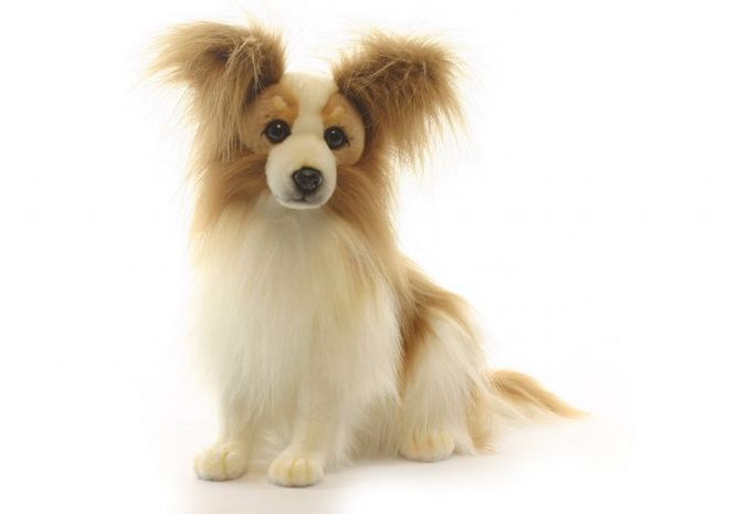 Hovedbilde HansaCreation hund Papillon